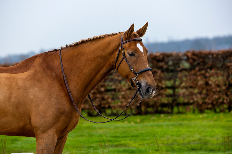 TRUST Hickstead Bridle