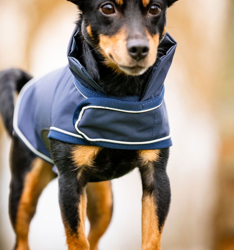 Horseware Signature Dog Rain Coat (No Fill)