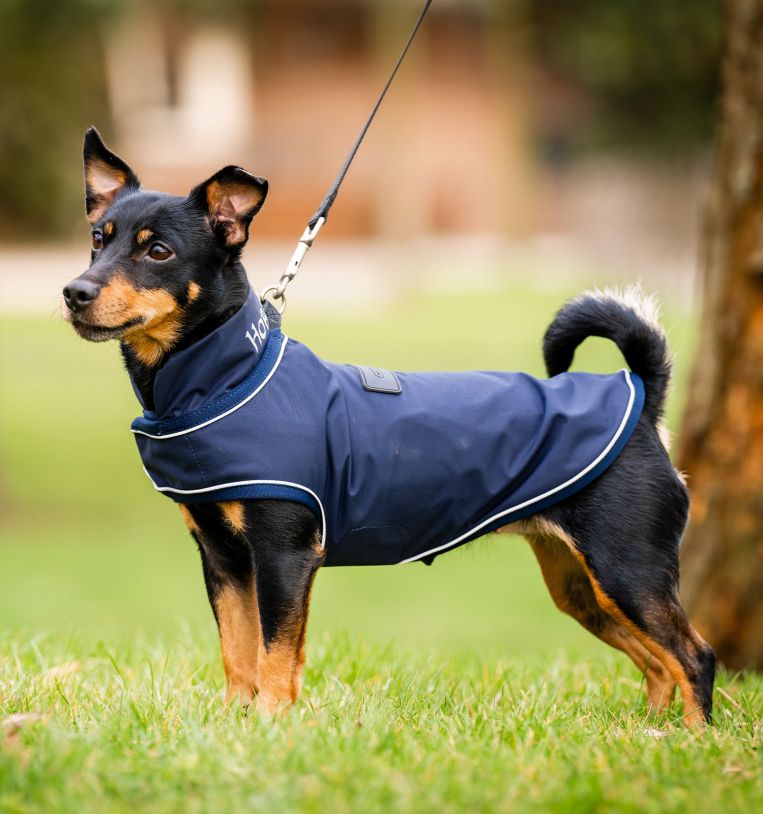 Horseware Signature Dog Rain Coat (No Fill)