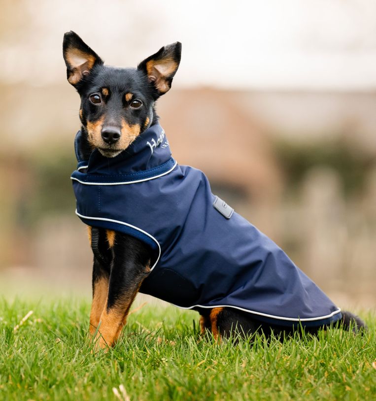 Horseware Signature Dog Rain Coat (No Fill)