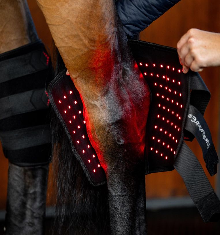 Horseware® LED Red Light Therapy Hock Boots