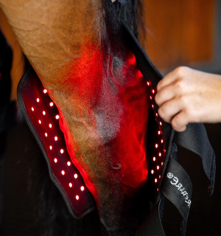 Horseware® LED Red Light Therapy Hock Boots