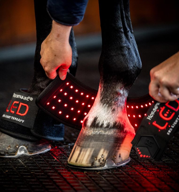 Horseware® LED Red Light Therapy Mini Wrap - SINGLE