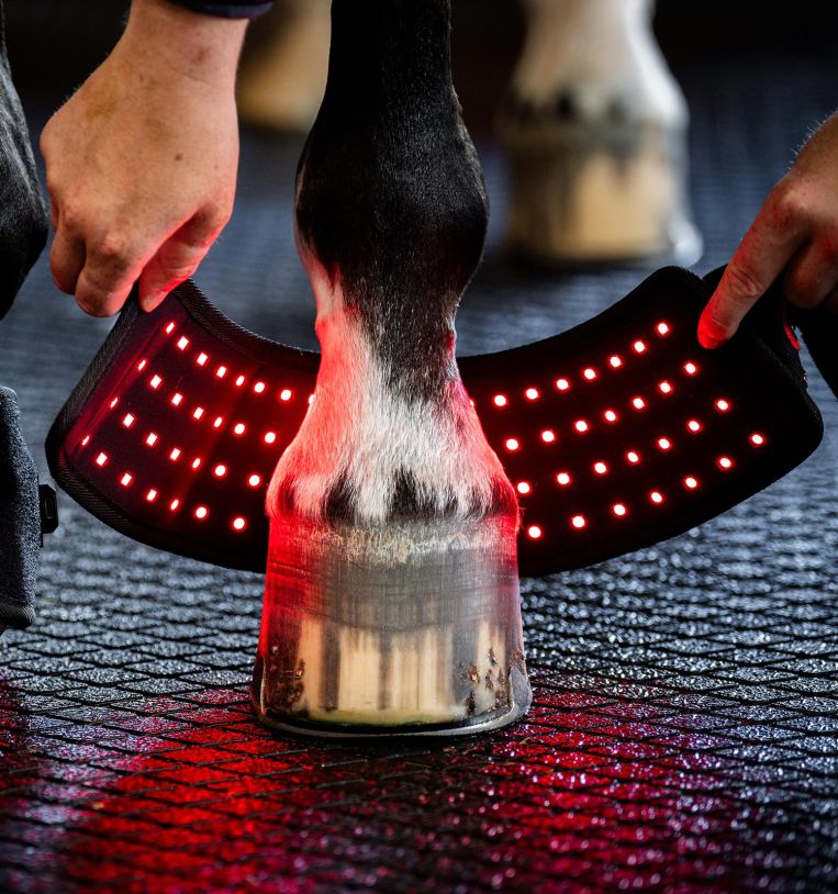 Horseware® LED Red Light Therapy Mini Wrap - SINGLE