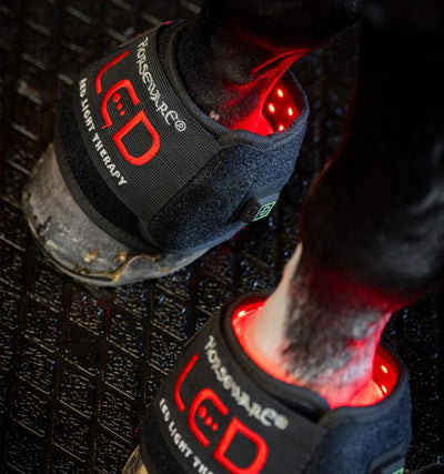 Horseware® LED Red Light Therapy Mini Wrap - SINGLE