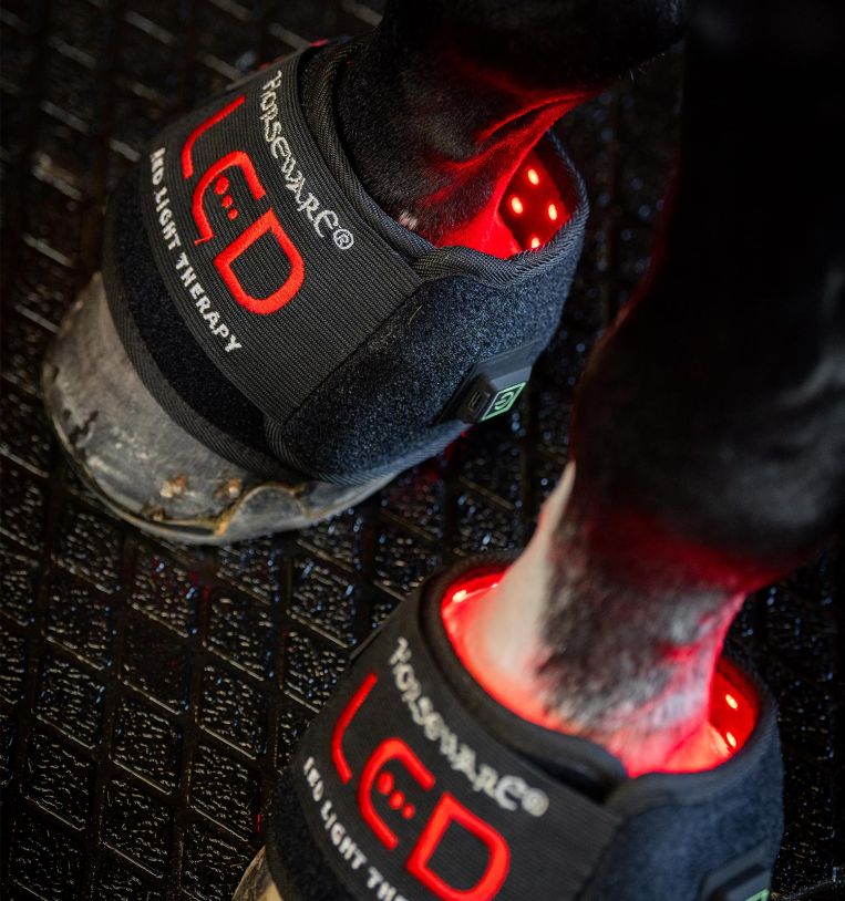 Horseware® LED Red Light Therapy Mini Wrap - SINGLE
