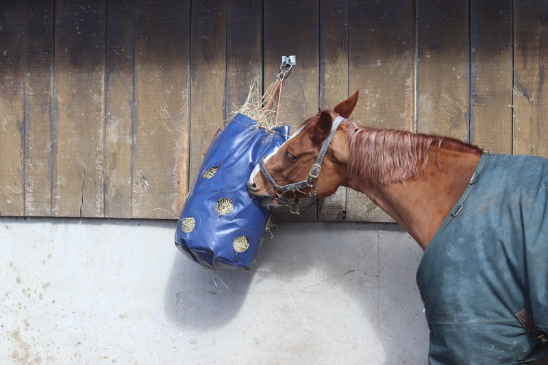 HayPlay Slow-Feed Tie Bag