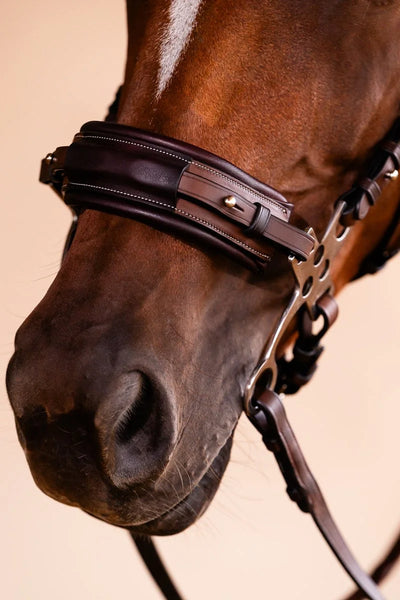 Arc de Triomphe® Hackamore Bridle