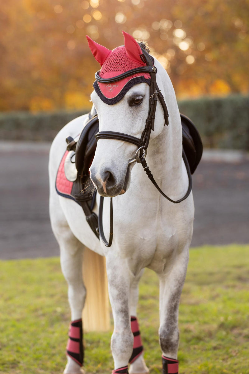 LeMieux Mini Ear Bonnet FW25