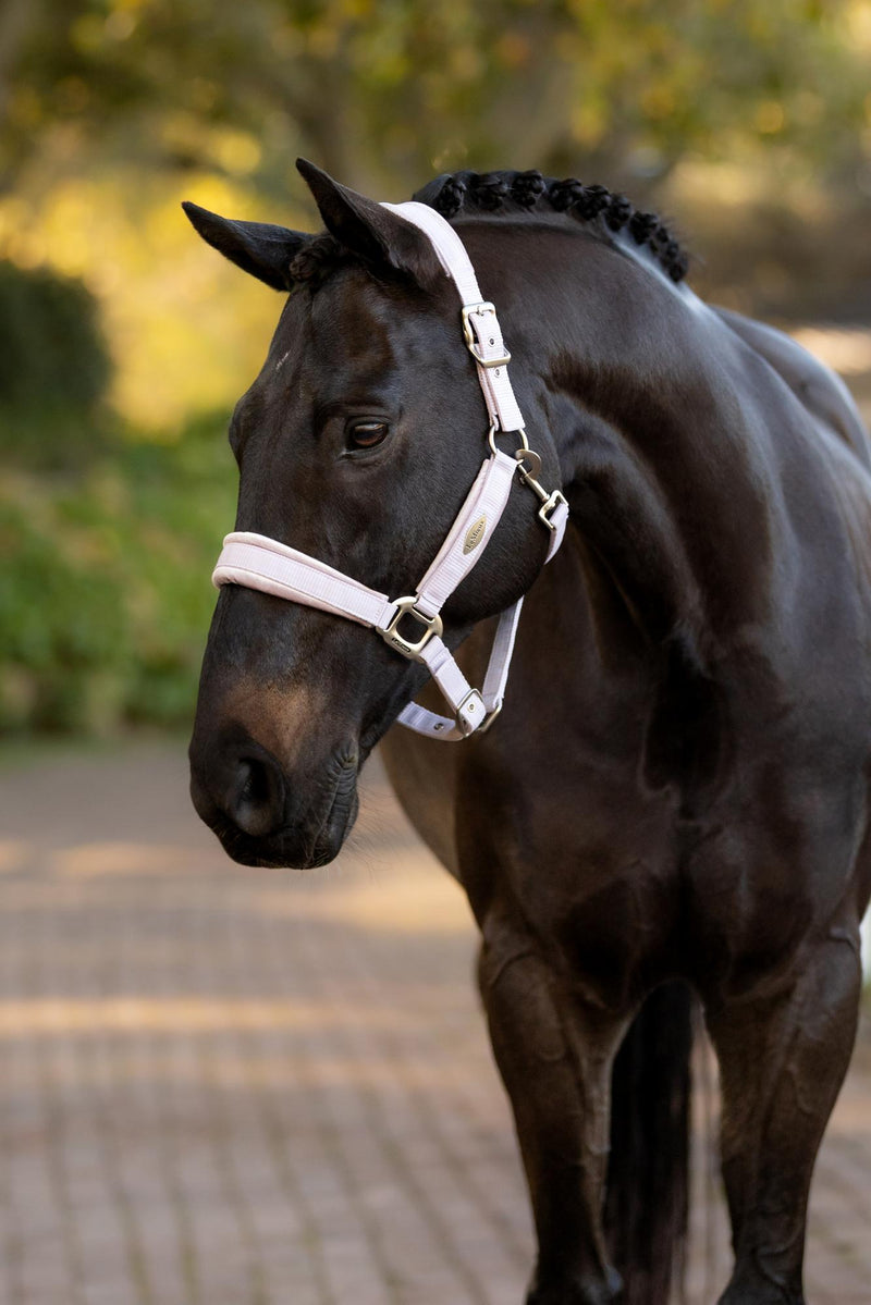 LeMieux Versailles Halter FW25