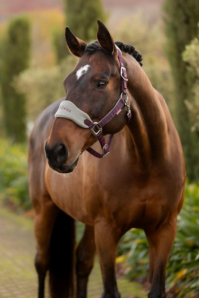 LeMieux Vogue Fleece Headcollar & Rope FW25