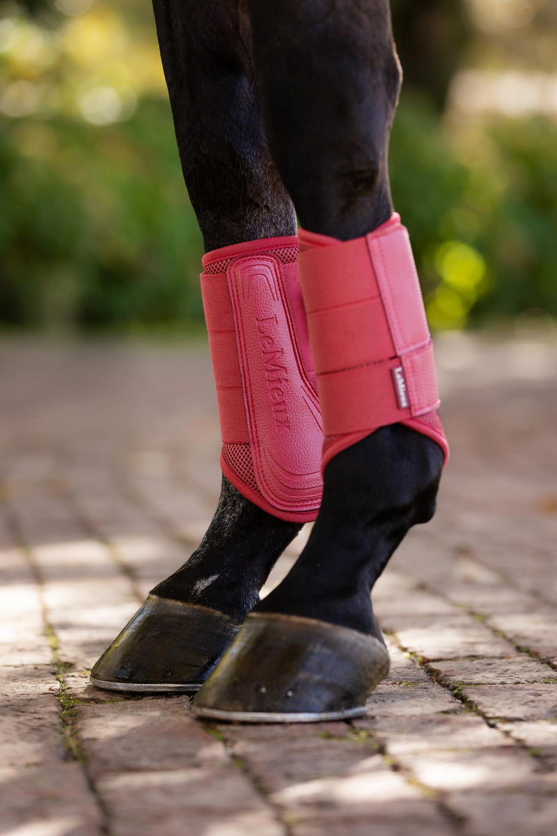 Lemieux Arika Mesh Brushing Boots FW25