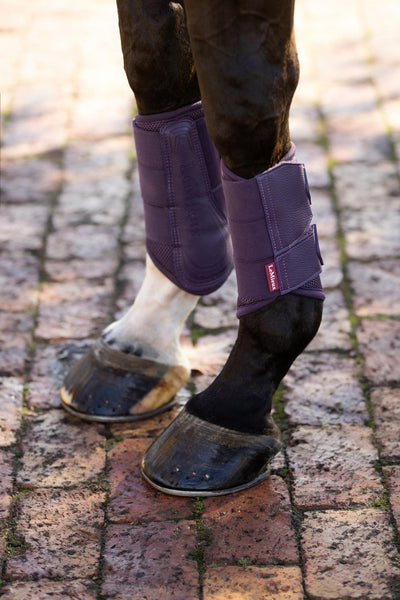 Lemieux Arika Mesh Brushing Boots FW25
