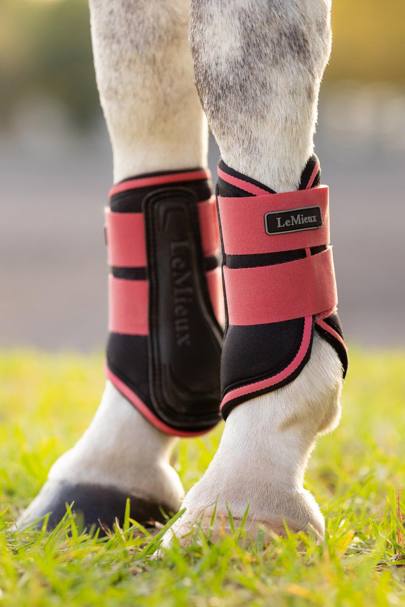 LeMieux Mini Brushing Boots FW25