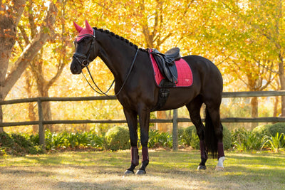 LeMieux Loire Classic Satin Dressage Square Pad FW25