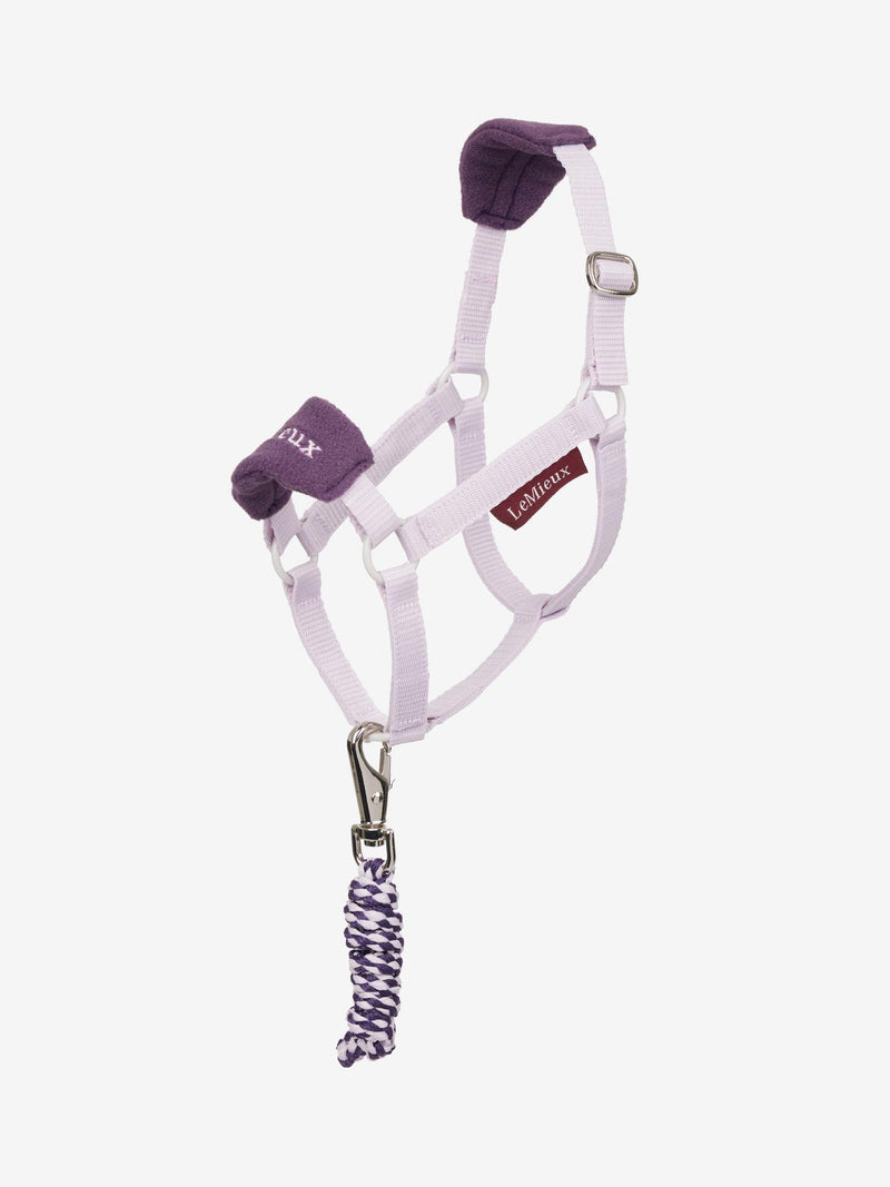 LeMieux Hobby Horse Vogue Halter FW25
