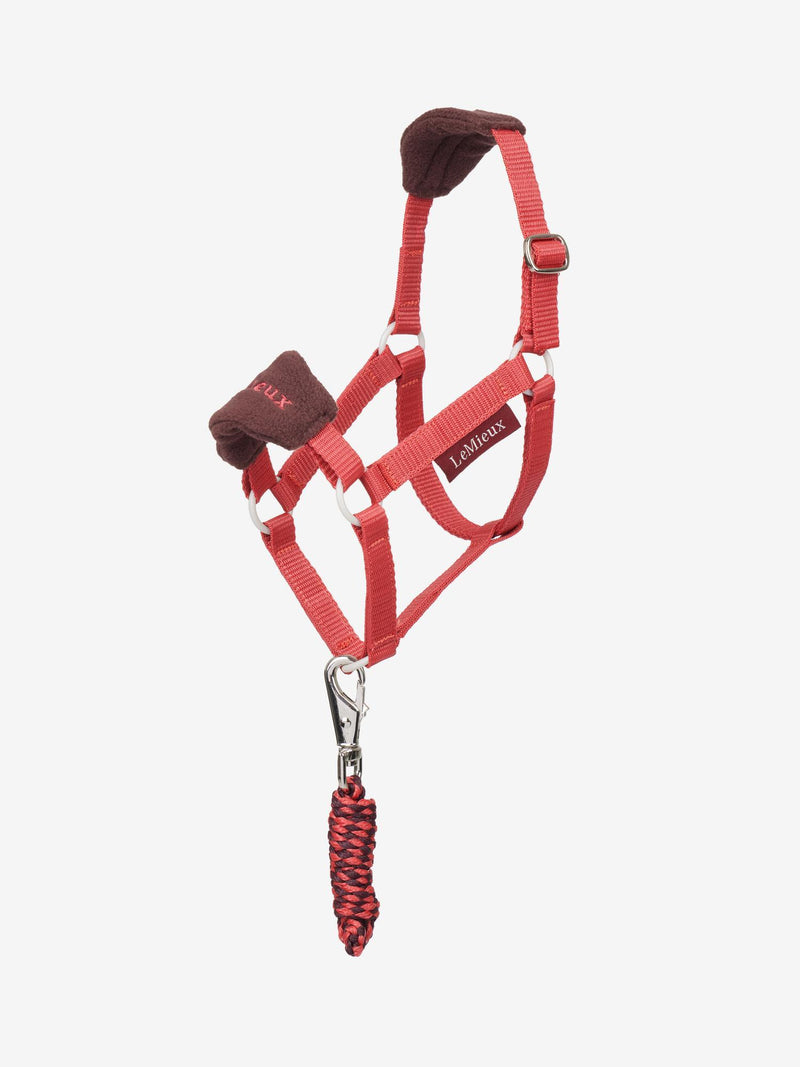LeMieux Hobby Horse Vogue Halter FW25