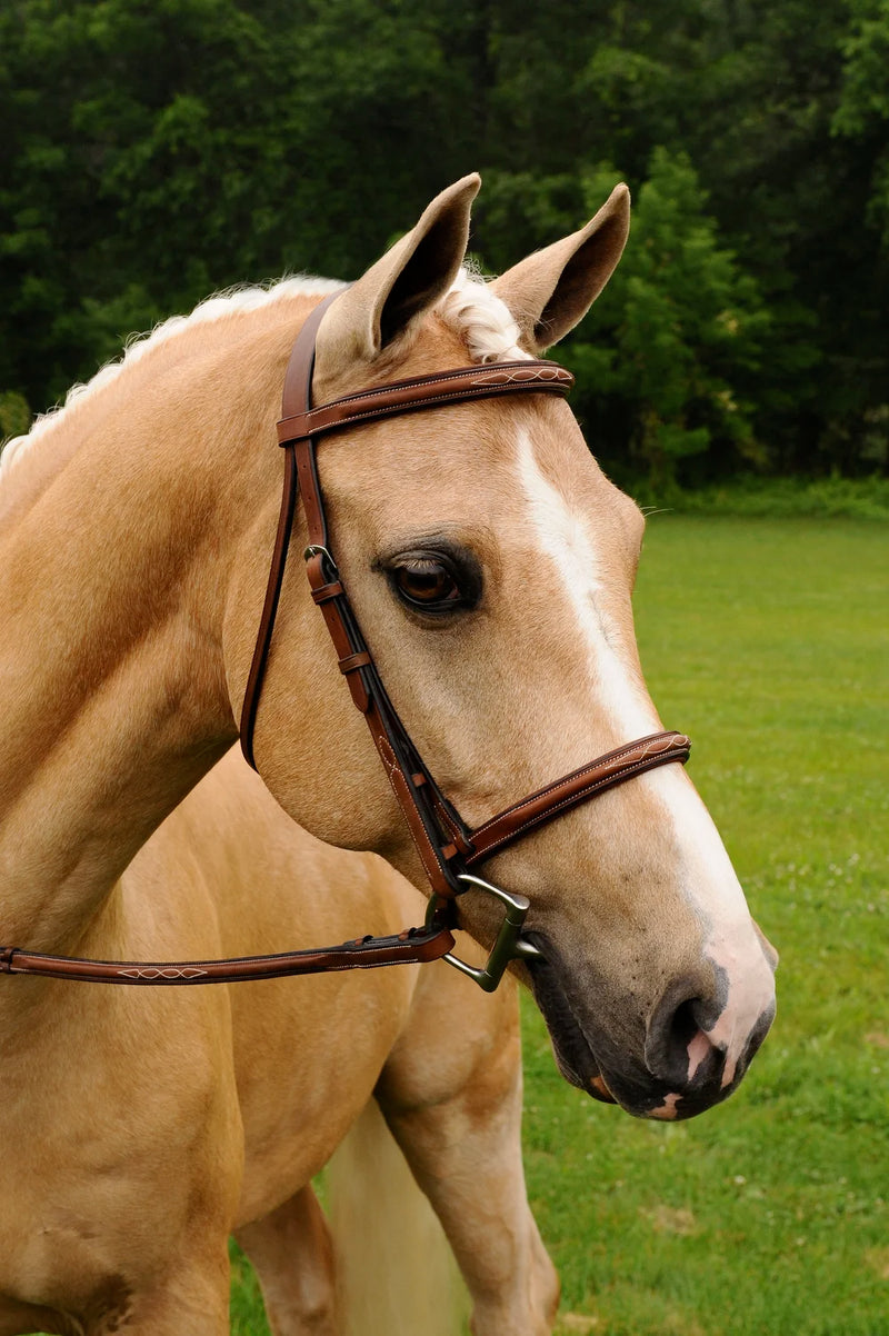 Arc de Triomphe® Imperial Bridle w/ Laced Fancy Reins