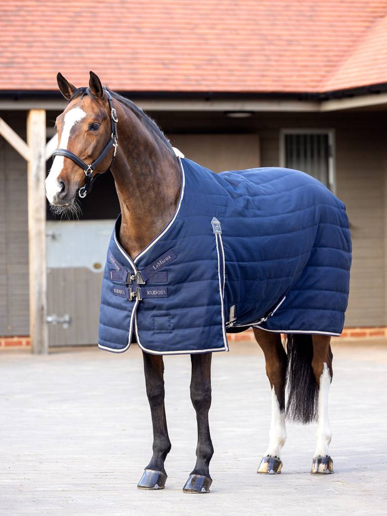 Lemieux Kudos Stable Rug