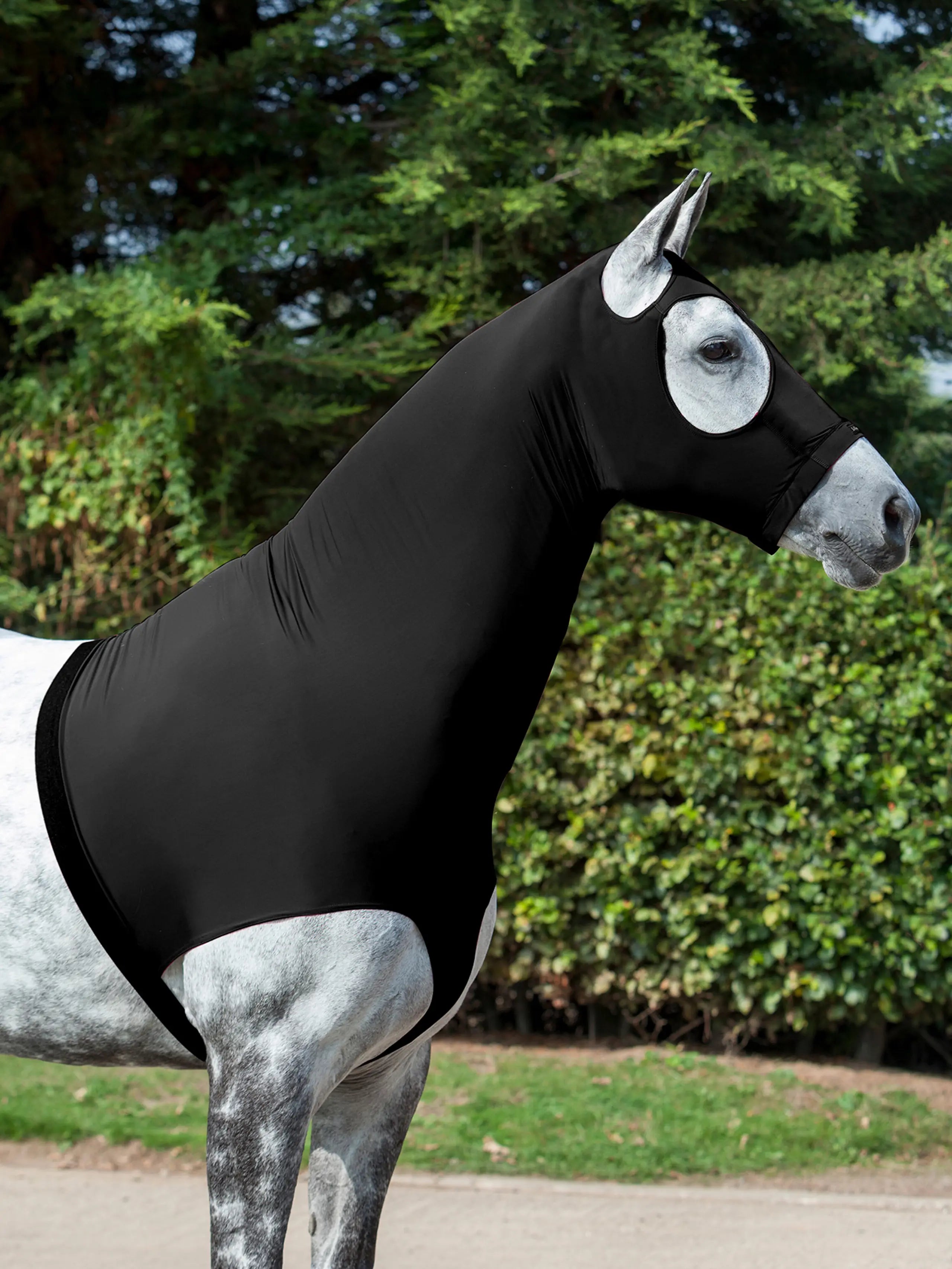 LeMieux Stretch Hood – Fair Hill Saddlery
