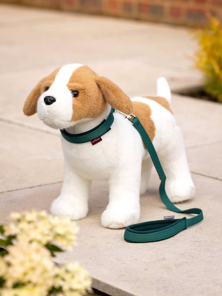 Lemieux Toy Puppy Accessories