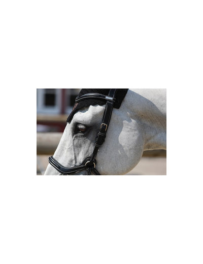 Jump'in One Collection New York Bridle