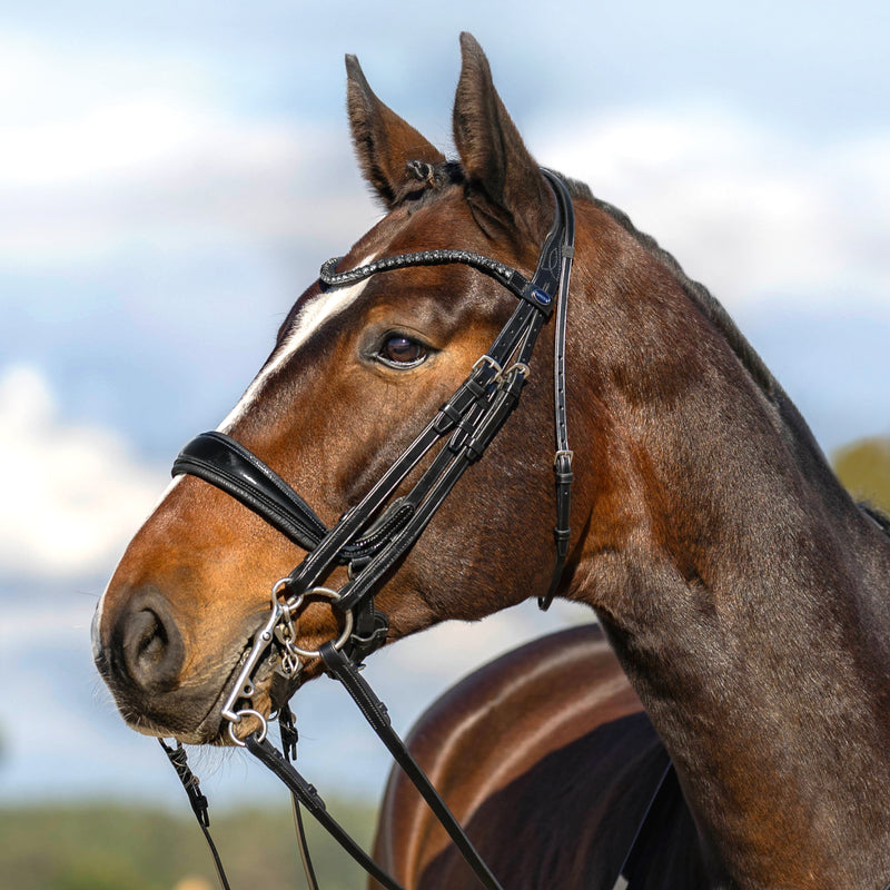 PASSIER Moonlight Double Bridle