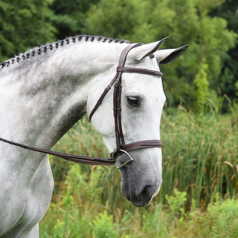 Red Barn Indio Hunter Bridle