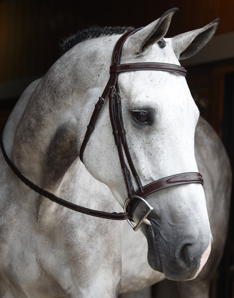 Red Barn Indio Hunter Bridle