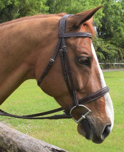 Red Barn Indio Hunter Bridle