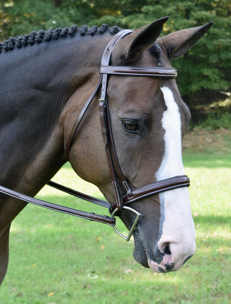 Red Barn Spirit Noseband
