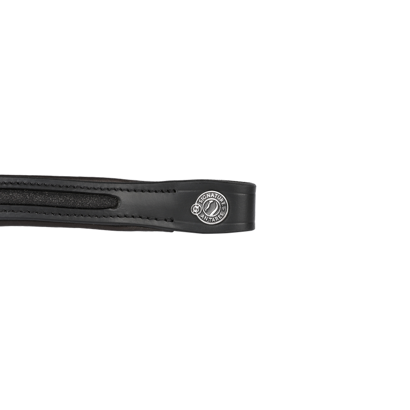 Antares Signature Shimmer Browband