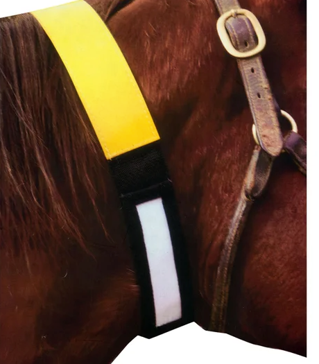 World Class Equine Horse ID Tag