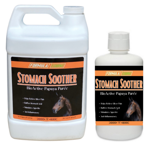 Formula 1 Noni Papaya Stomach Soother