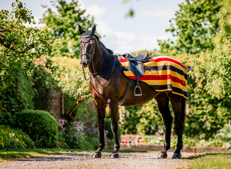Horseware Ireland Newmarket Exercise Sheet