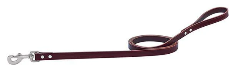 Terrain Heritage Choice Leather Leash 1 x 6
