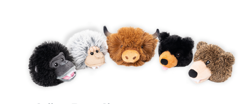 Tall Tails 2 in 1 Fetch Ball Dog Toy