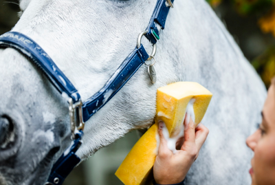 Horseware Grooming Halter