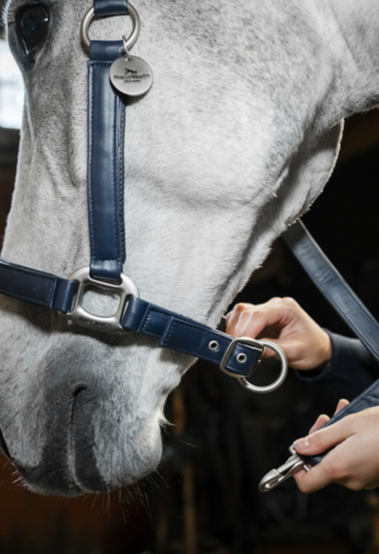 Horseware Grooming Halter