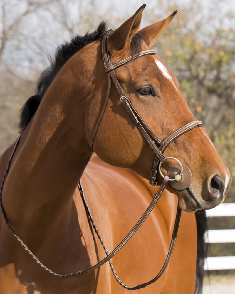 Horze Harrison Horse Padded Stitched Bridle with Laced Reins (W)