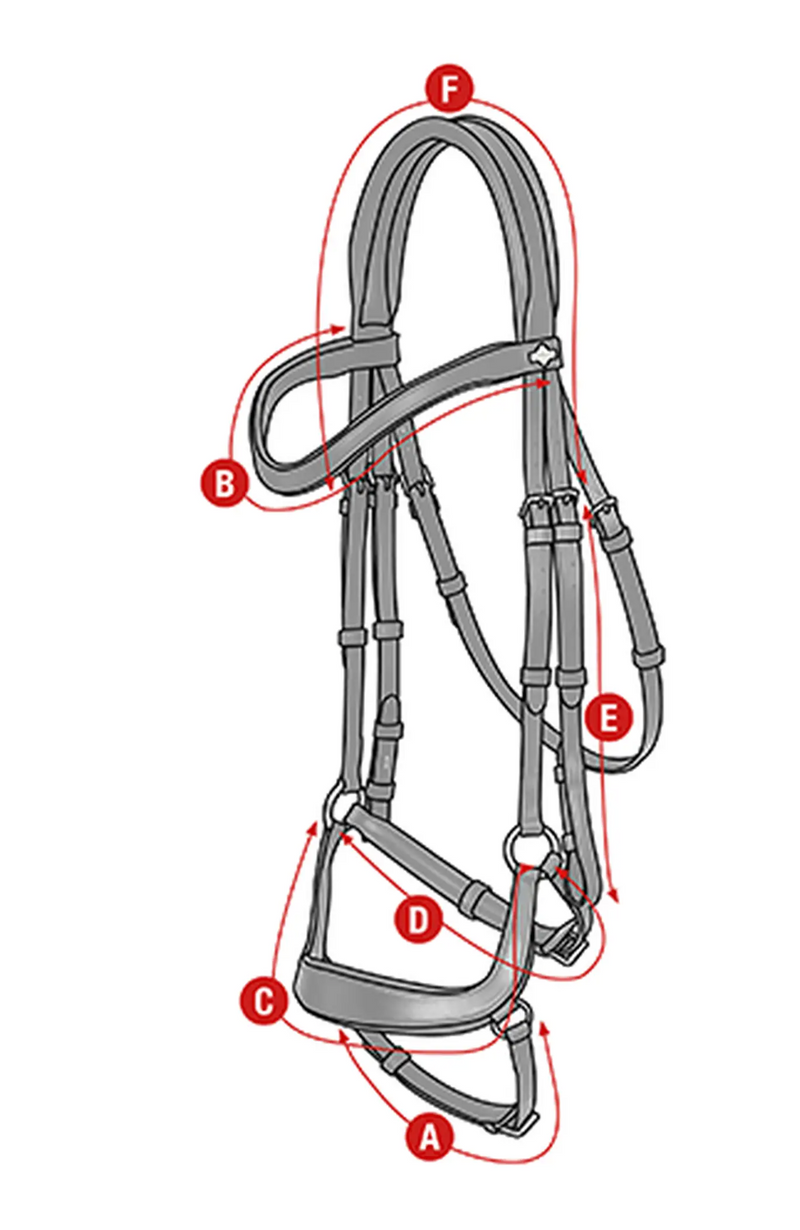 LeMieux Arika Drop Bridle