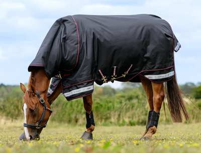 LeMieux Arika Storm-Tek Blanket 200G 1200D