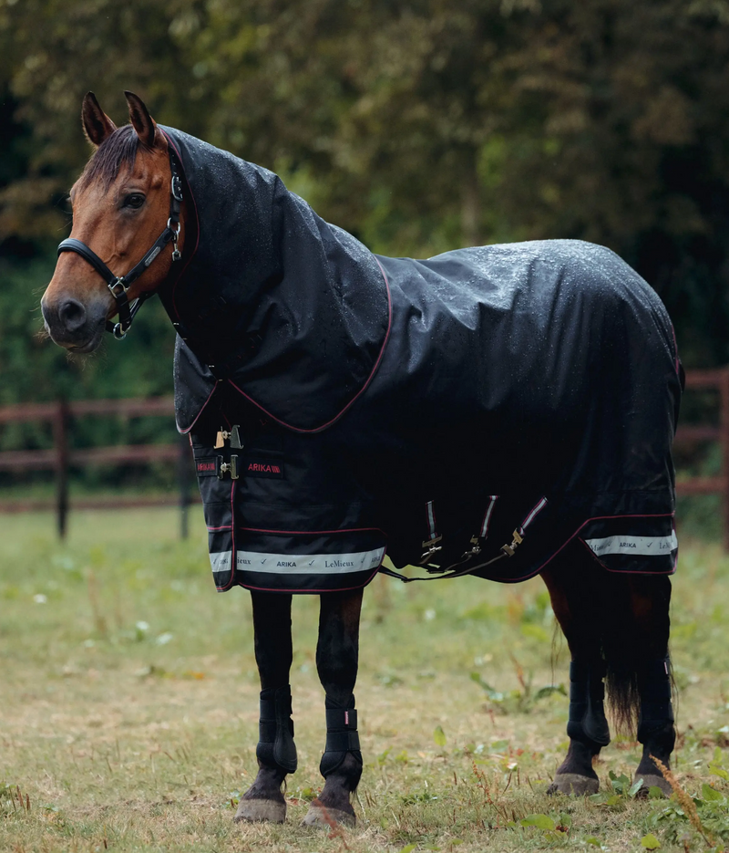 LeMieux Arika Storm-Tek Blanket 200G 1200D