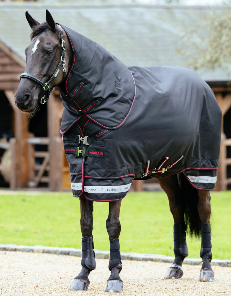 LeMieux Arika Storm-Tek Blanket 350G 1200D