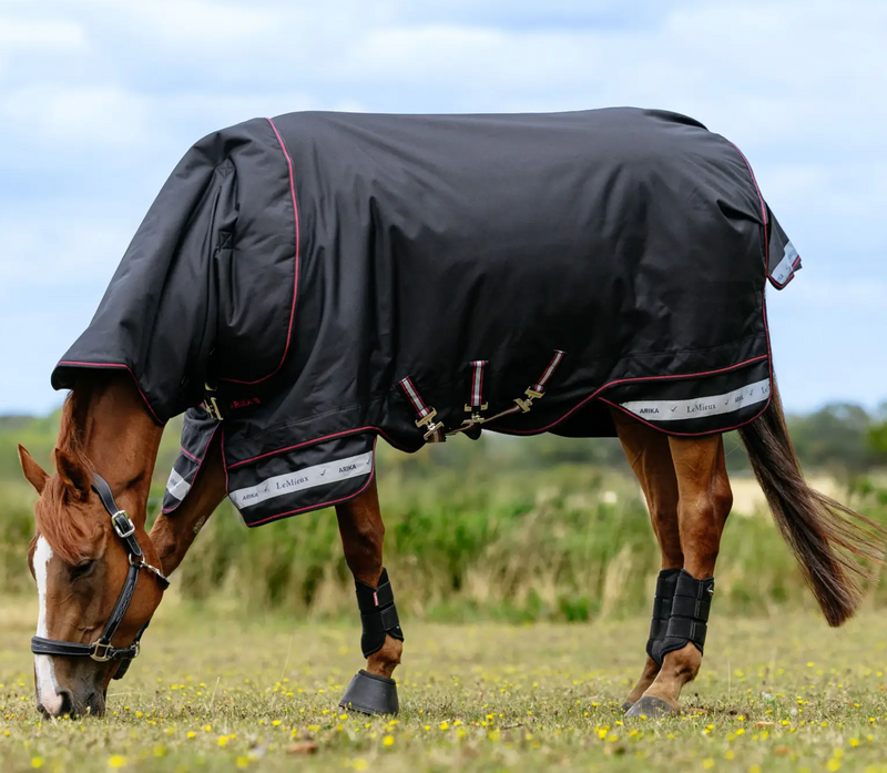 LeMieux Arika Storm-Tek Blanket 350G 1200D