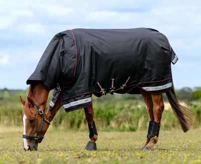 LeMieux Arika Storm-Tek Blanket 100G 1200D