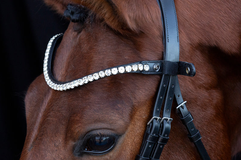 Schockemohle Siena Browband