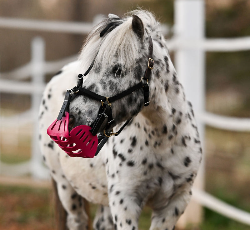 GreenGuard Mini and Small Pony Halters