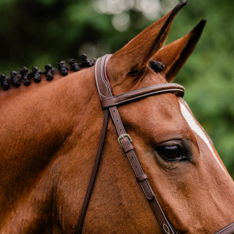Arc de Triomphe®  Stealth Tribute Bridle w/ Raised Fancy Stitched Laced Reins