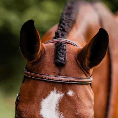 Arc de Triomphe®  Stealth Tribute Bridle w/ Raised Fancy Stitched Laced Reins